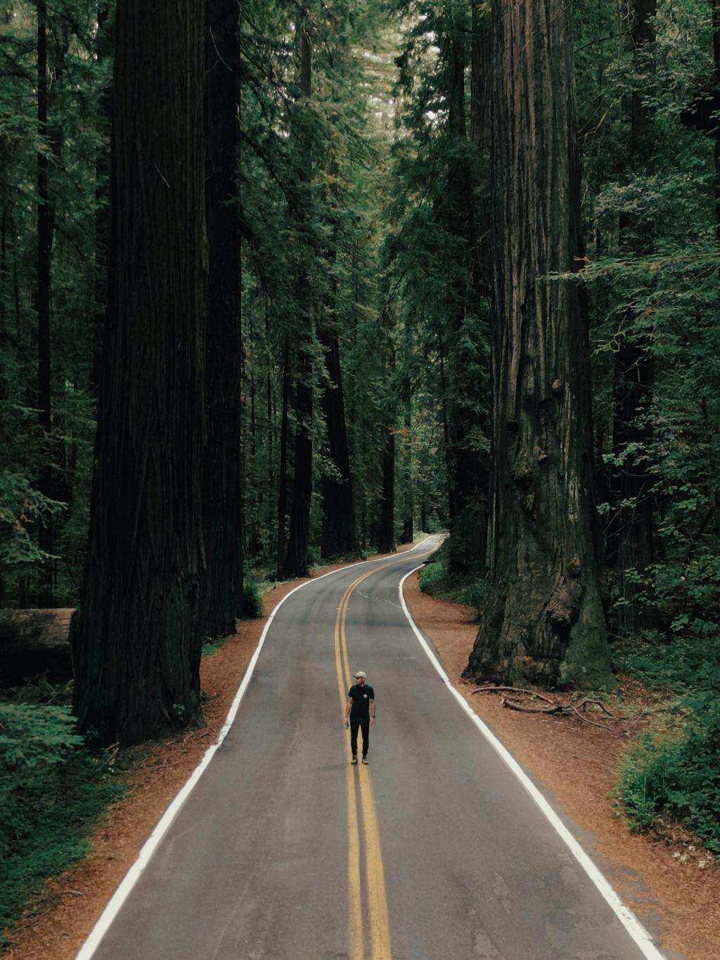 You Don’t Have to Figure It All Out Alone: Why Coaching Might Be Exactly What You&nbsp;Need